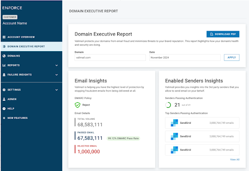 domain executive report